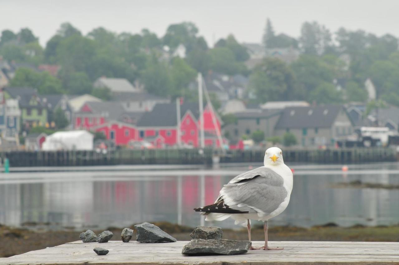 Smugglers Cove Inn Lunenburg Luaran gambar
